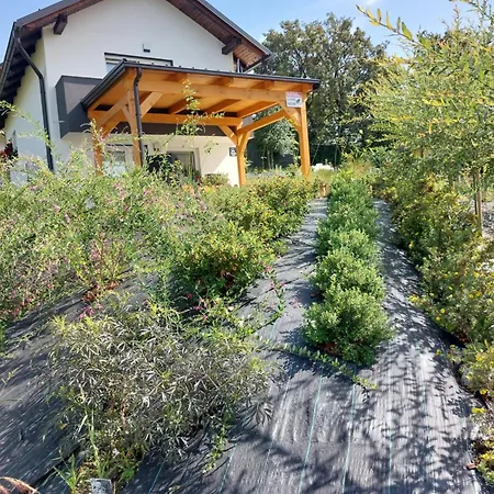 Prenocisce Cernosa Apartma *
