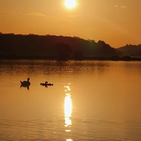 Prenocisce Cernosa Apartma