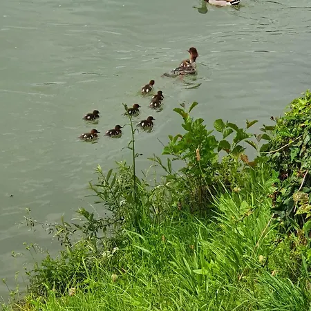 Apartment Prenocisce Cernosa Apartma Sveta Trojica v Slovenskih Goricah