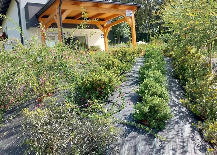 Prenocisce Cernosa Apartma *