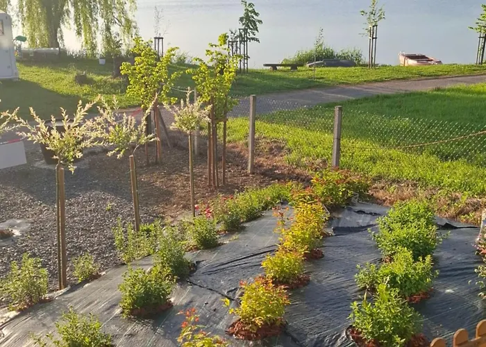 شقة Prenocisce Cernosa Apartma Sveta Trojica v Slovenskih Goricah