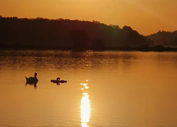 Prenocisce Cernosa Apartma