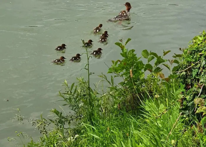 شقة Prenocisce Cernosa Apartma Sveta Trojica v Slovenskih Goricah